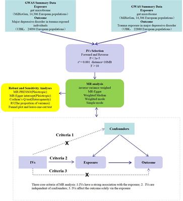 The gut microbiota and post-traumatic major depression disorder: insights from bidirectional two-sample Mendelian randomization